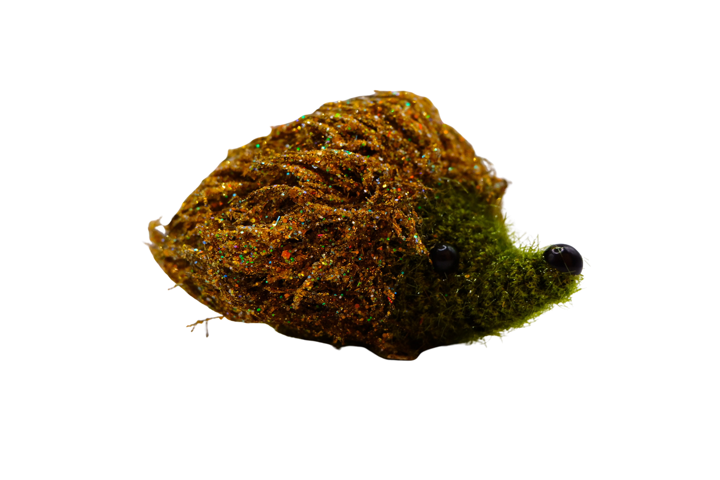 Igel