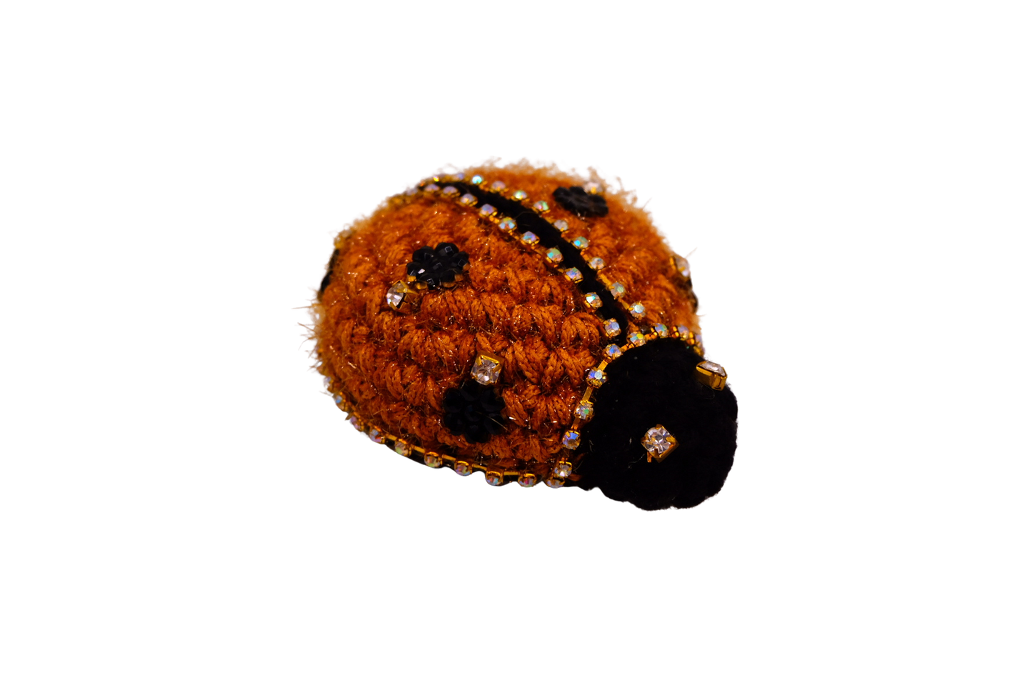 Ladybug