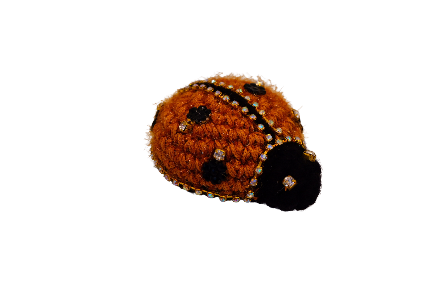 Ladybug